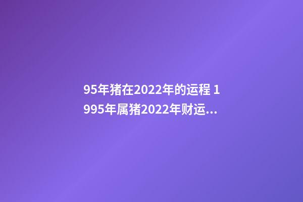 95年猪在2022年的运程 1995年属猪2022年财运怎么样 分析生肖猪运势-第1张-观点-玄机派